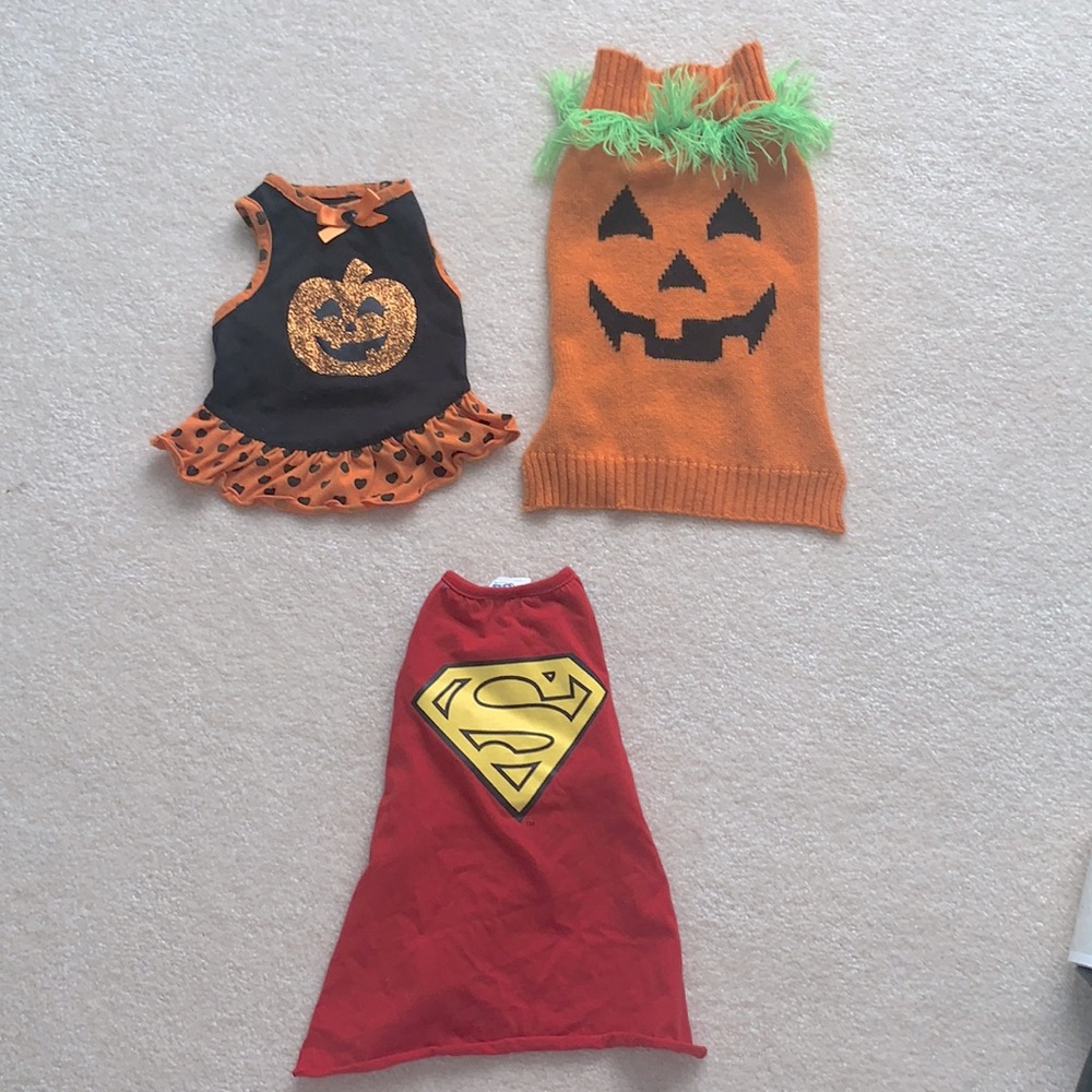 Pets Halloween!!!🎃